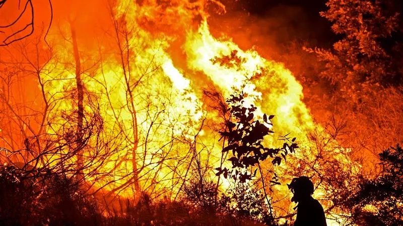 Incendios en Portugal