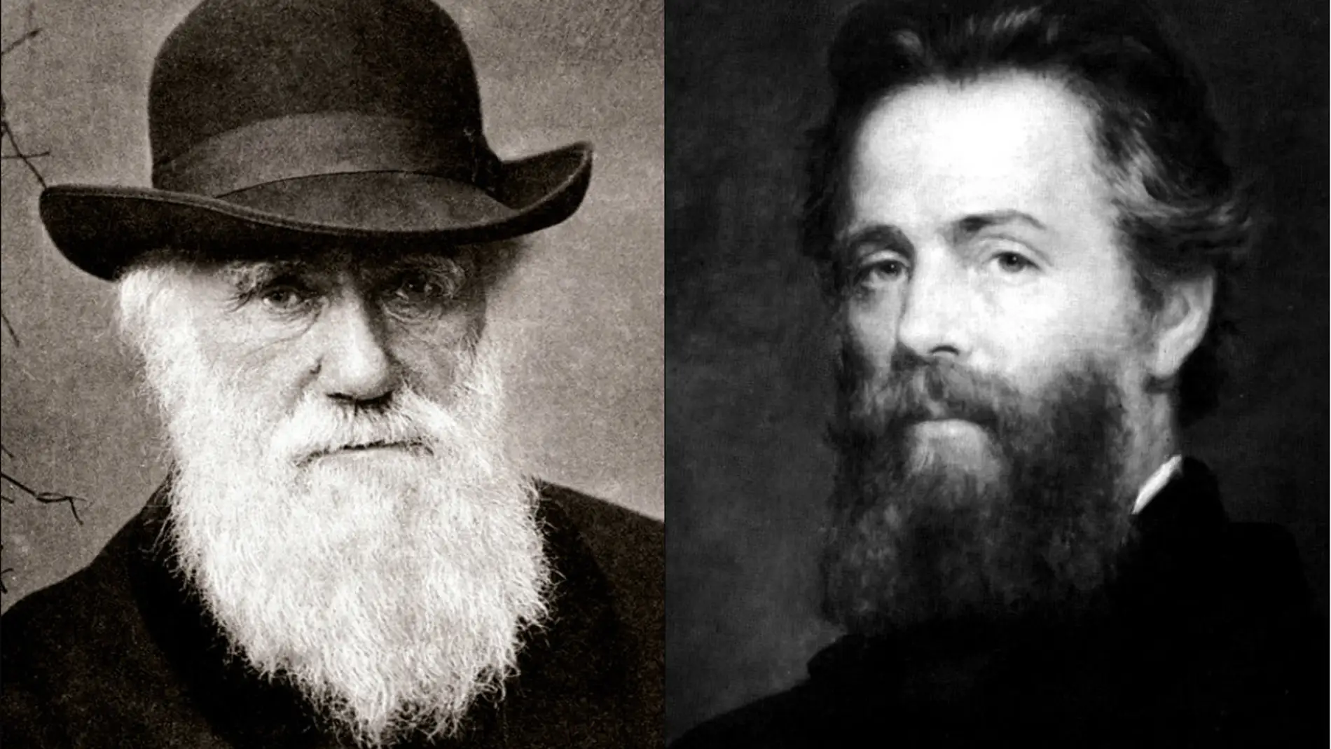 Darwin y Melville
