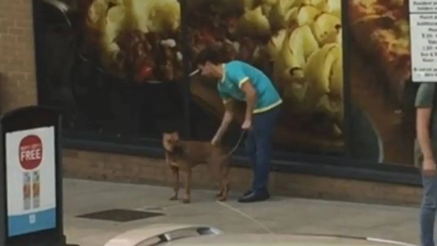 Perro maltratado en Londres Perro maltratado en Londres