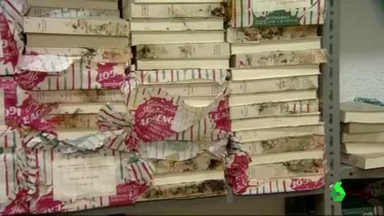 Frame 21.37647 de: LIBROS Frame 21.37647 de: LIBROS