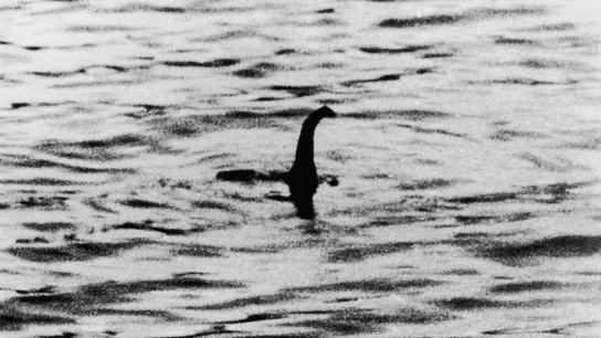 Hallan intacta una cámara sumergida hace medio siglo para capturar al monstruo del lago ness Hallan intacta una cámara sumergida hace medio siglo para capturar al monstruo del lago ness