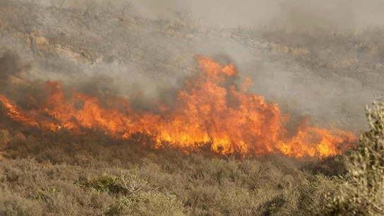 Imagen de archivo de un incendio forestal Imagen de archivo de un incendio forestal