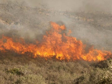 Imagen de archivo de un incendio forestal Imagen de archivo de un incendio forestal