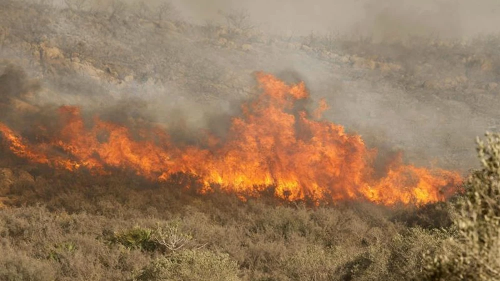 Imagen de archivo de un incendio forestal