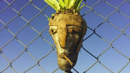 Una de las creaciones con verduras en la frontera húngara para disuadir a los refugiados Una de las creaciones con verduras en la frontera húngara para disuadir a los refugiados