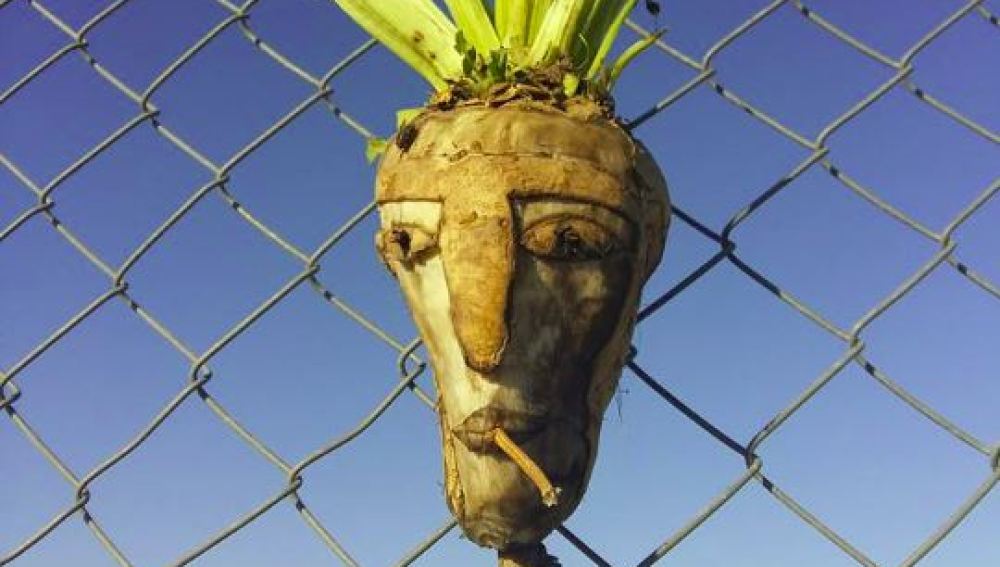 Una de las creaciones con verduras en la frontera húngara para disuadir a los refugiados
