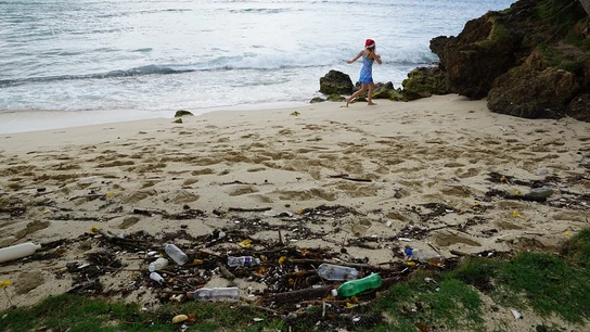 Una playa, llena de plástico Una playa, llena de plástico