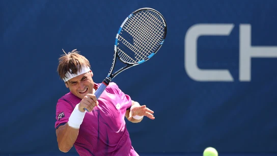 David Ferrer devuelve una bola a Dolgopolov David Ferrer devuelve una bola a Dolgopolov