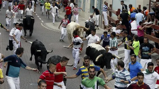 Quinto encierro en San Sebastián de los Reyes Quinto encierro en San Sebastián de los Reyes