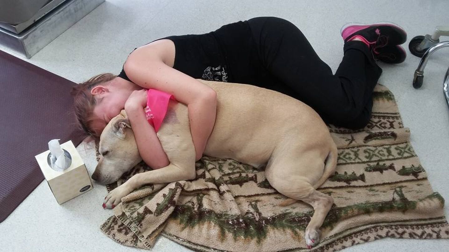 El &uacute;ltimo abrazo de la due&ntilde;a con Hannah 