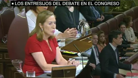 Ambiente investidura Ambiente investidura