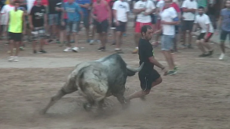 Toros de La Vilavella