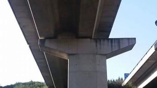 Foto de la obra Foto de la obra