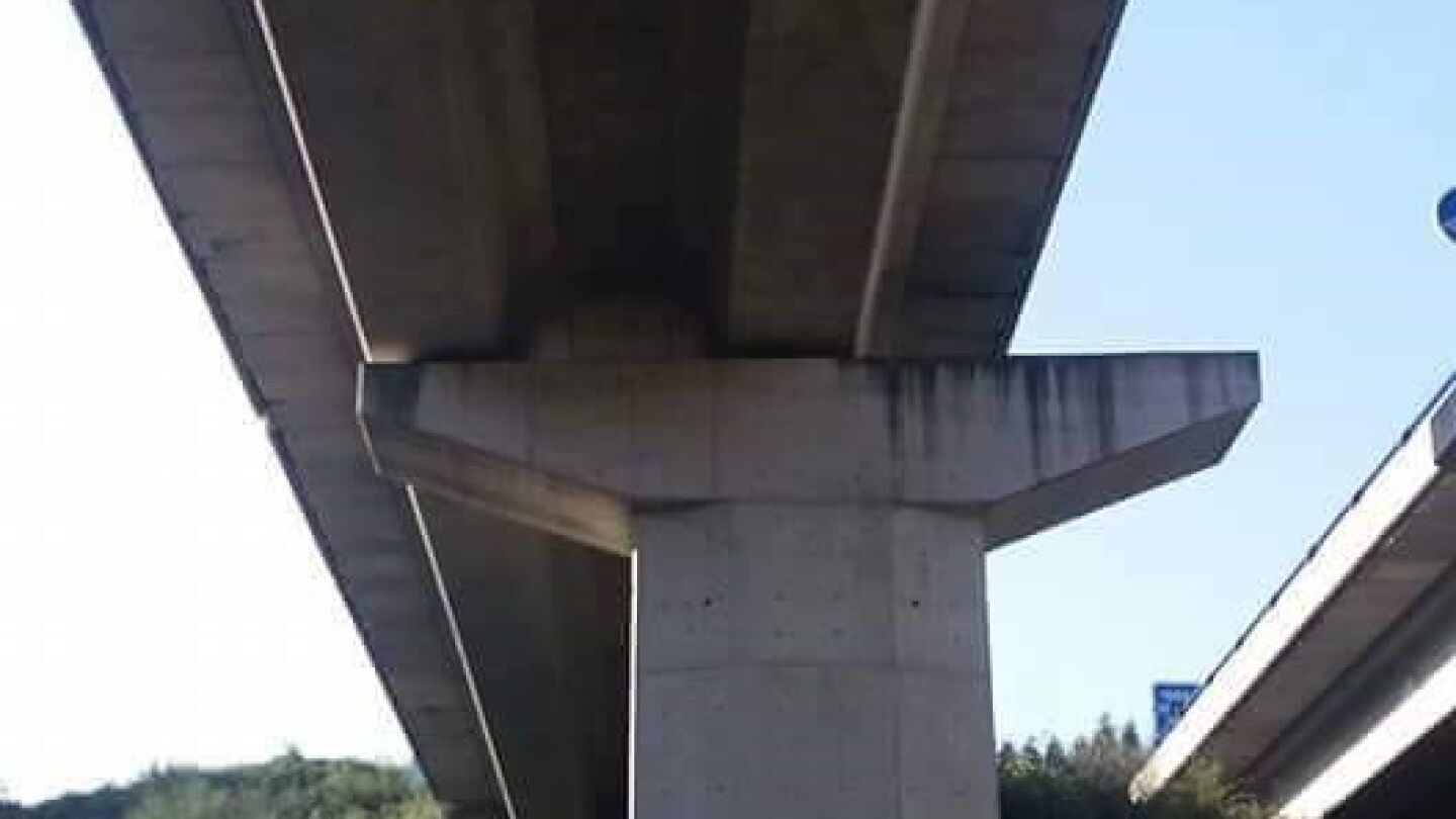 Foto de la obra