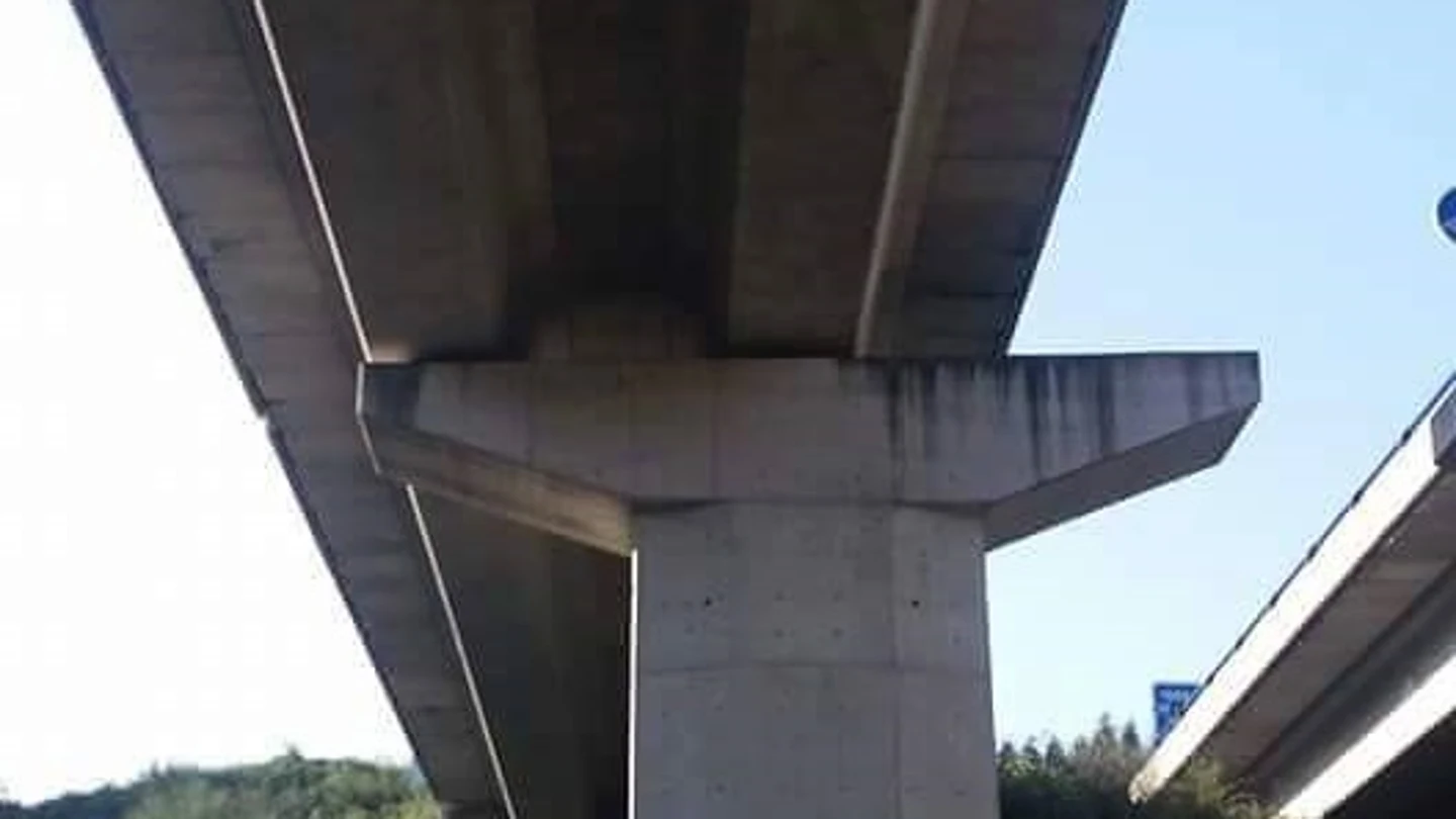 Foto de la obra Foto de la obra
