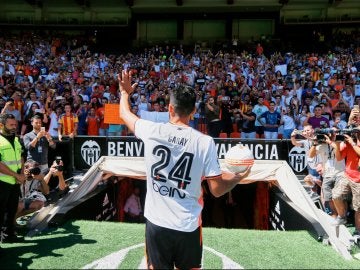 Garay Garay