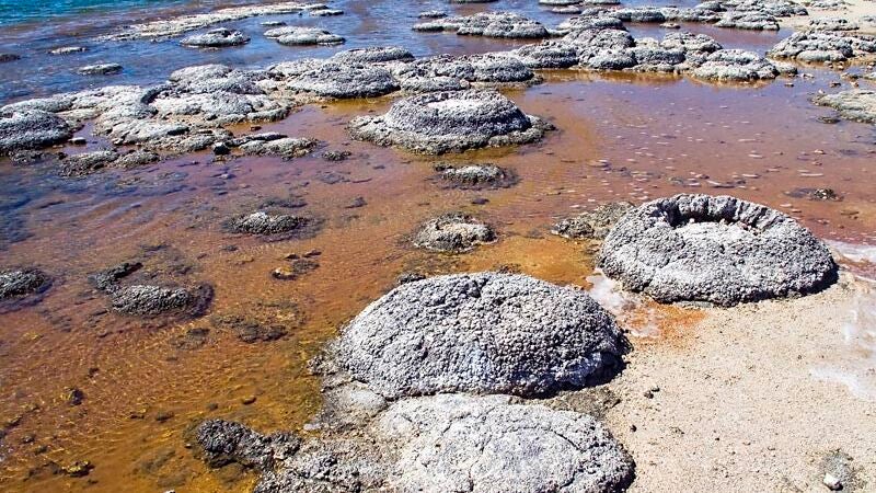 Los fósiles de Groenlandia nos chivan dónde buscar restos de vida pasada en Marte