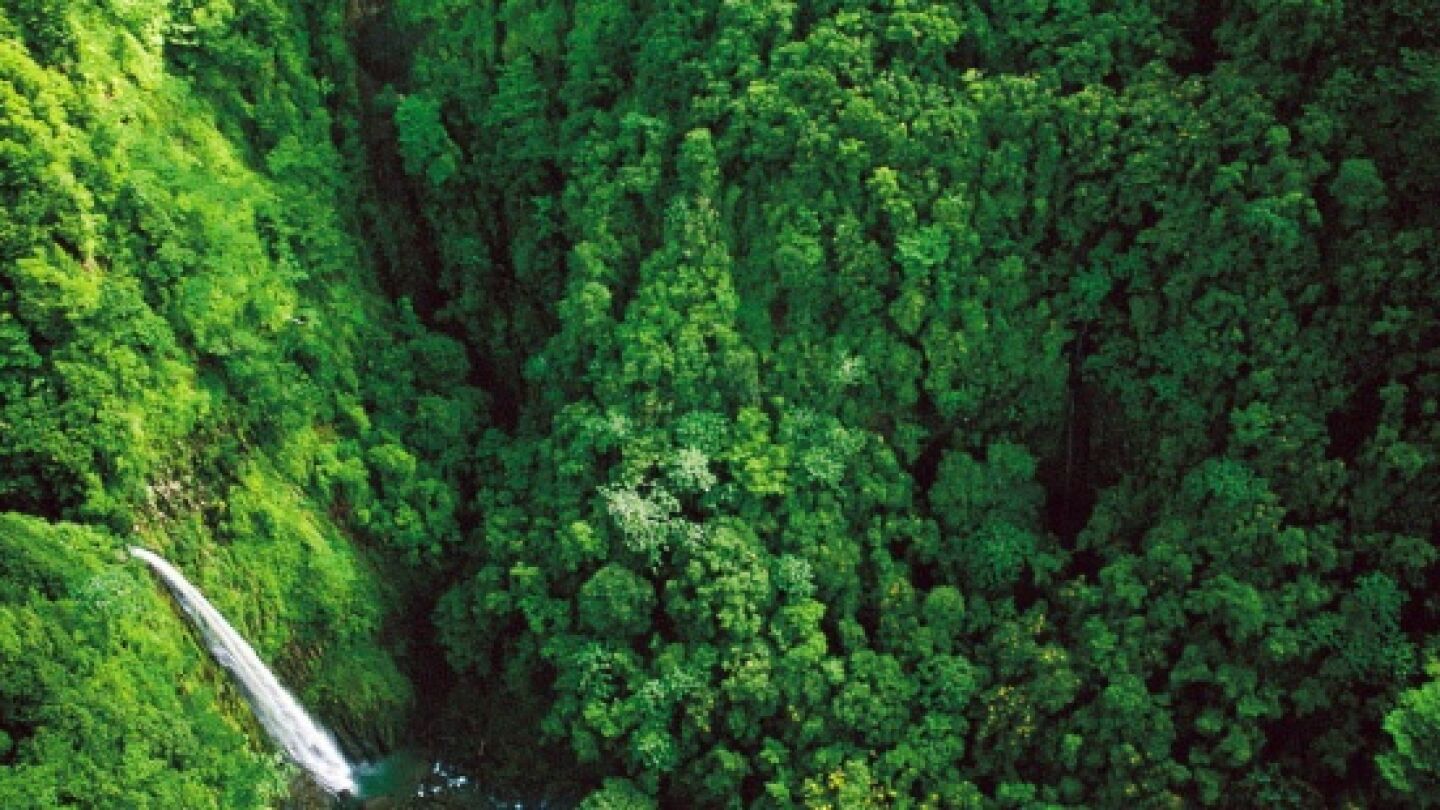 Naturaleza