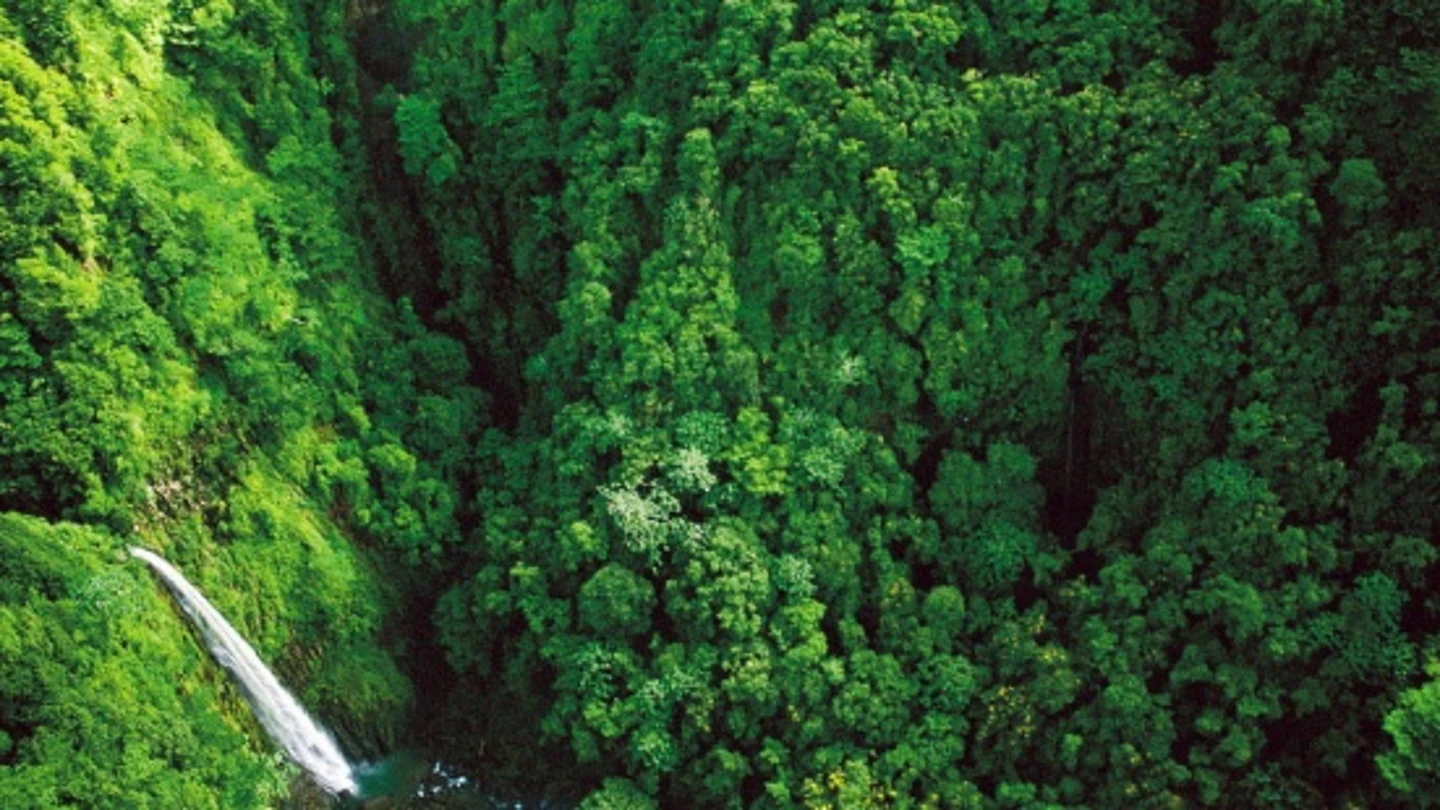 Naturaleza Naturaleza