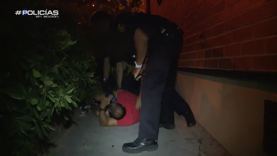 Policías en acción Policías en acción