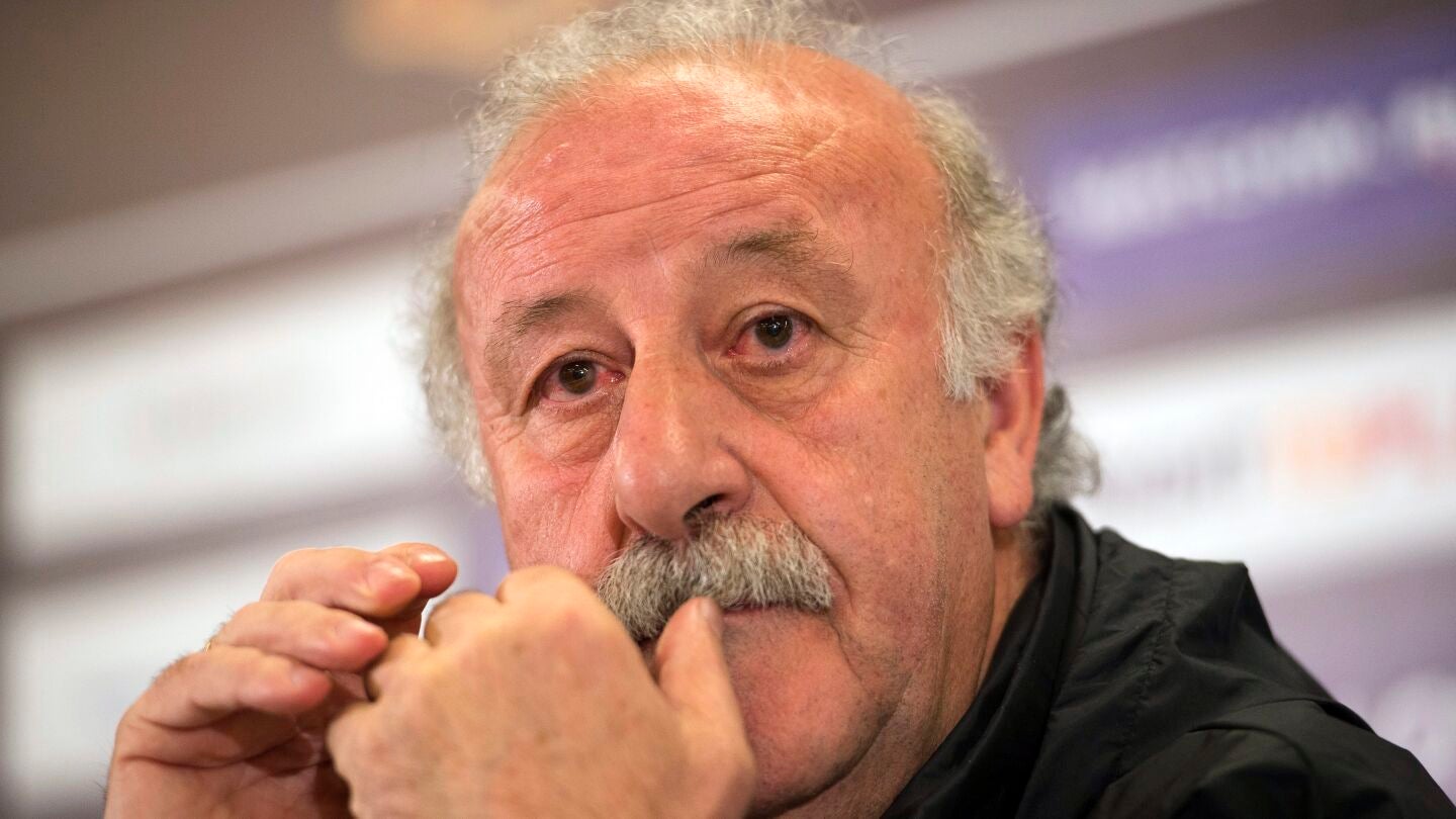 Vicente Del Bosque, exseleccionador espa&ntilde;ol