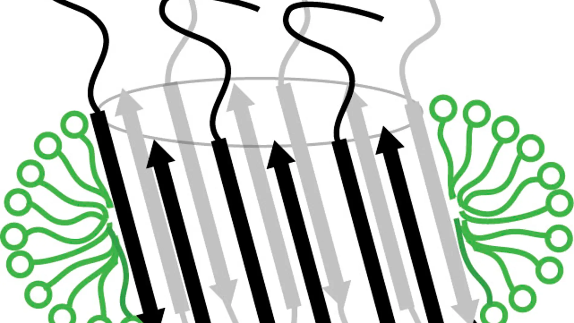 Diagrama agregado de beta amiloide que a