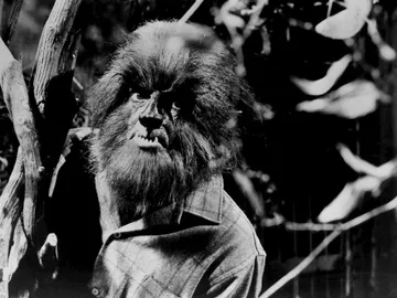 De dónde surge el mito del 'hombre lobo' De dónde surge el mito del 'hombre lobo'