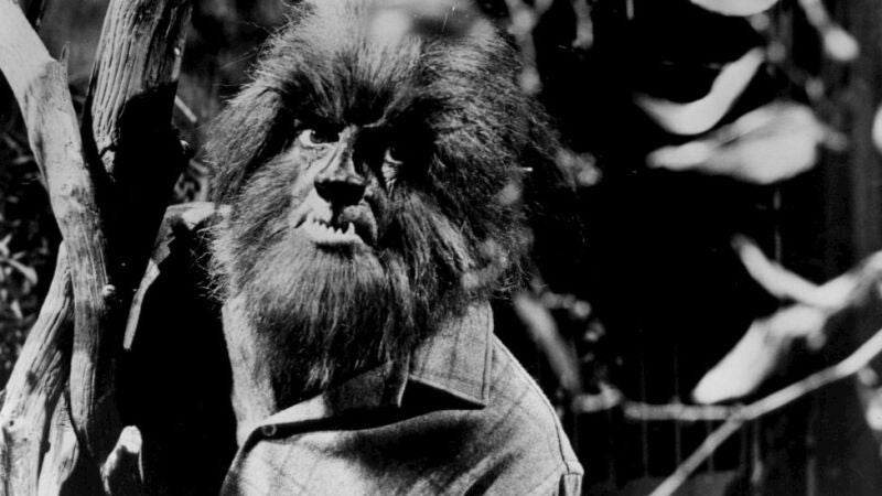 ¿De dónde surge el mito del ‘hombre lobo’?