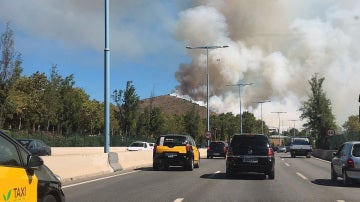 Incendio en el parque de Collserola, en Barcelona