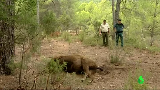 Frame 0.0 de: BIS Frame 0.0 de: BIS