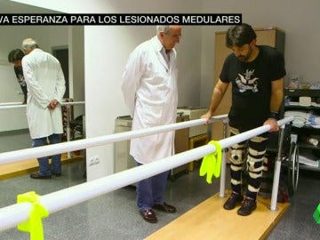 Frame 37.727286 de: Esperanza para enfermos medulares: un hospital de Madrid logra que pacientes con tetraplejia crónica recuperen sensibilidad y anden Frame 37.727286 de: Esperanza para enfermos medulares: un hospital de Madrid logra que pacientes con tetraplejia crónica recuperen sensibilidad y anden