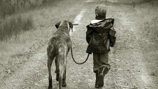 Niño paseando por un perro Niño paseando por un perro