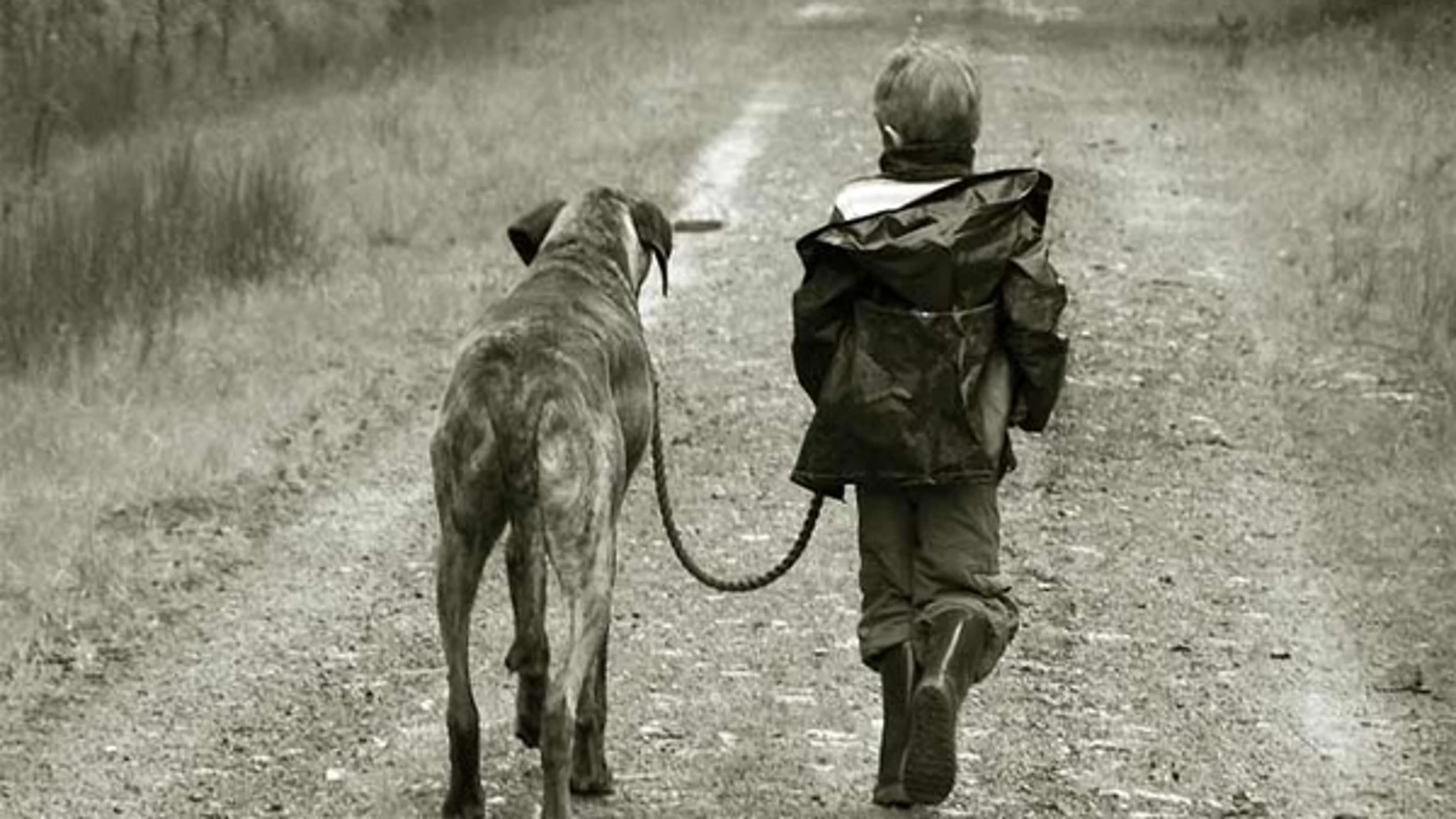 Niño paseando por un perro