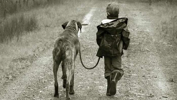 Niño paseando por un perro