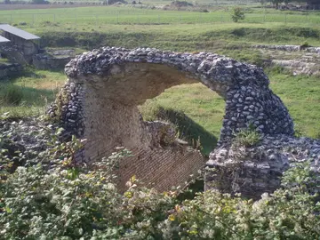 Vomitorium Vomitorium