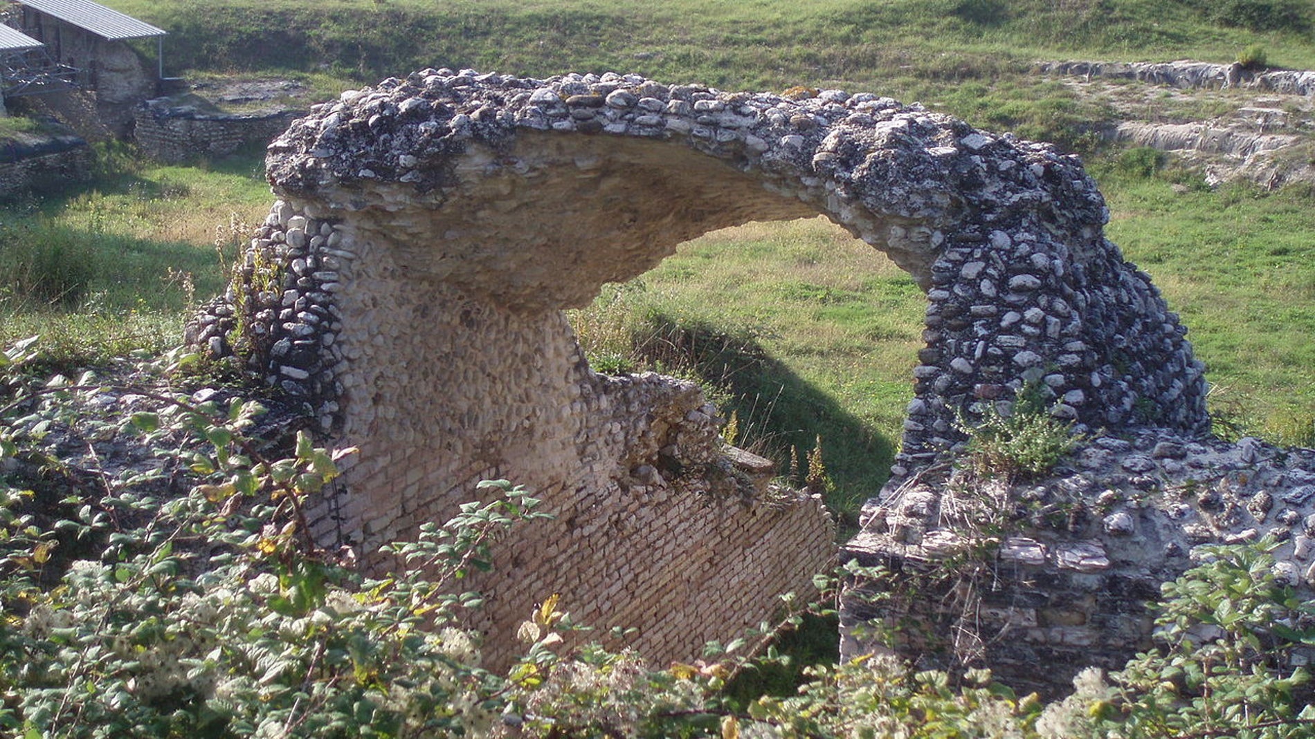 Vomitorium