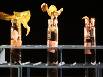 La NASA estudia cómo crear un huerto en Marte La NASA estudia cómo crear un huerto en Marte