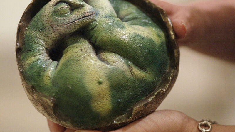 Dime de qué color era un dinosaurio, y te diré cómo vivía