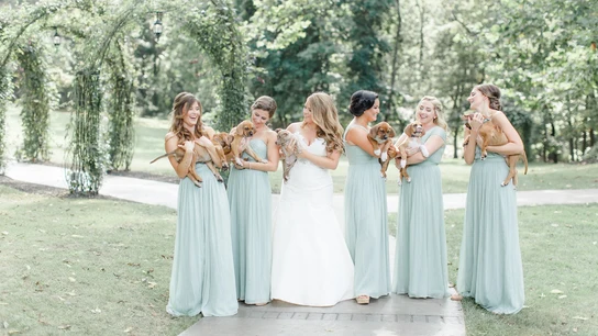La novia y las 'damas de honor' con los cachorros La novia y las 'damas de honor' con los cachorros