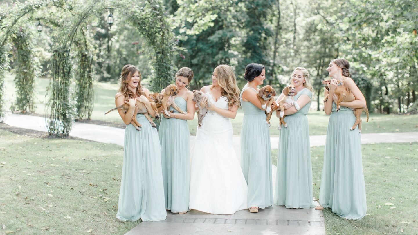 La novia y las 'damas de honor' con los cachorros