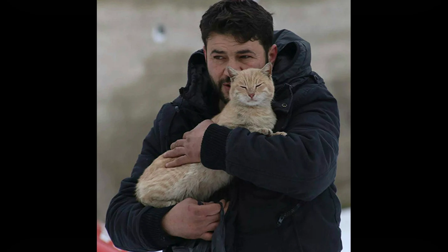 Mohammad Alaa Aljaleel junto a un gato Mohammad Alaa Aljaleel junto a un gato
