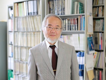 Yoshinori Ohsumi Yoshinori Ohsumi