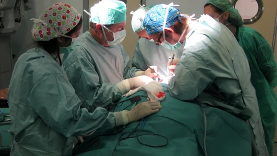 Un grupo de médicos realiza un trasplante de útero de un donante vivo Un grupo de médicos realiza un trasplante de útero de un donante vivo