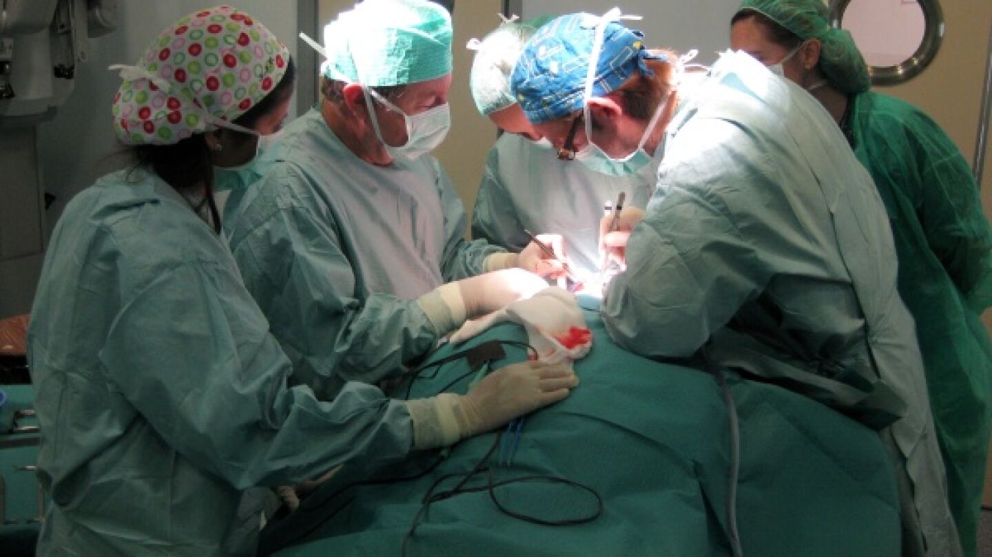 Un grupo de m&eacute;dicos realiza un trasplante de &uacute;tero de un donante vivo