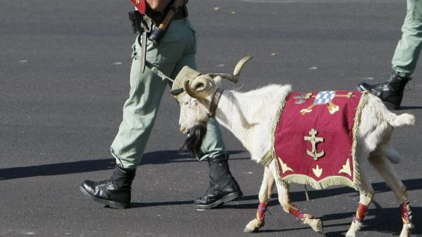 'Pepe', la cabra de la Legi&oacute;n