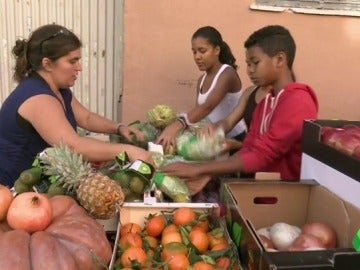 Frame 46.734859 de: Más de 40 toneladas de alimentos que recoge la Feria Nacional Hortofructícula se destinarán a fines solidarios Frame 46.734859 de: Más de 40 toneladas de alimentos que recoge la Feria Nacional Hortofructícula se destinarán a fines solidarios