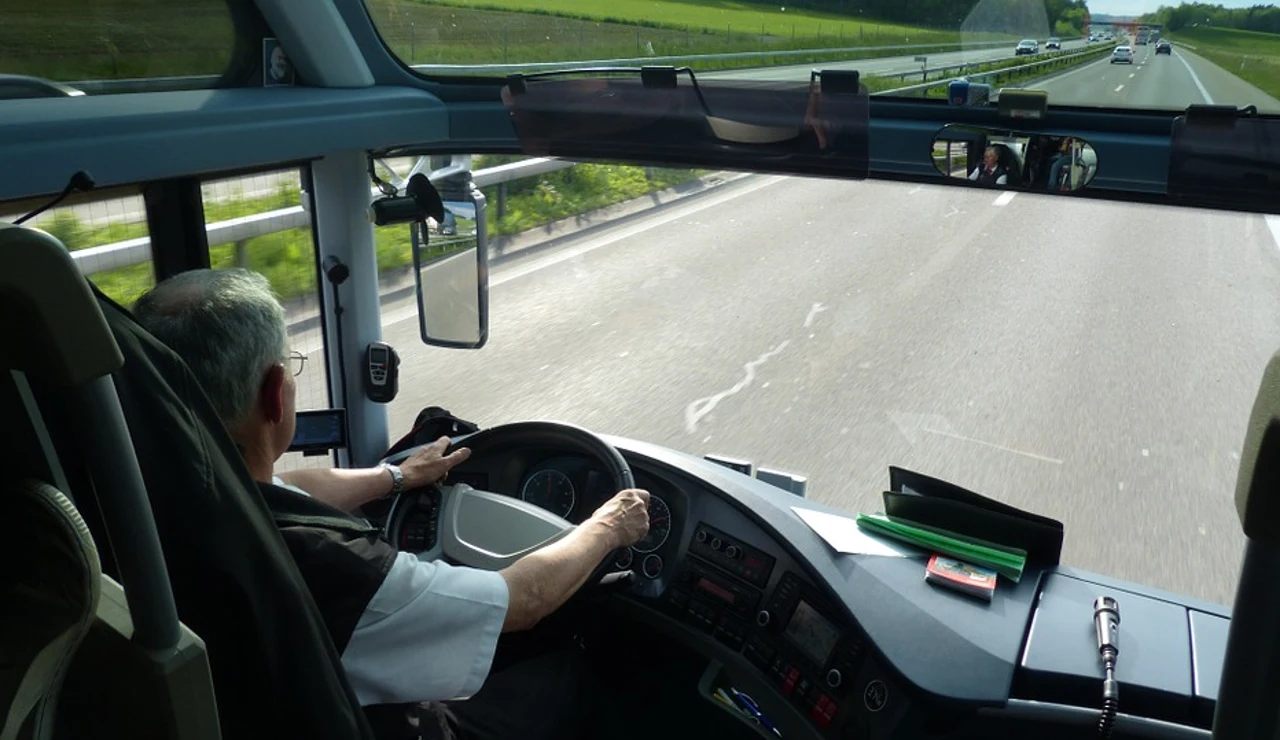 Conductor profesional