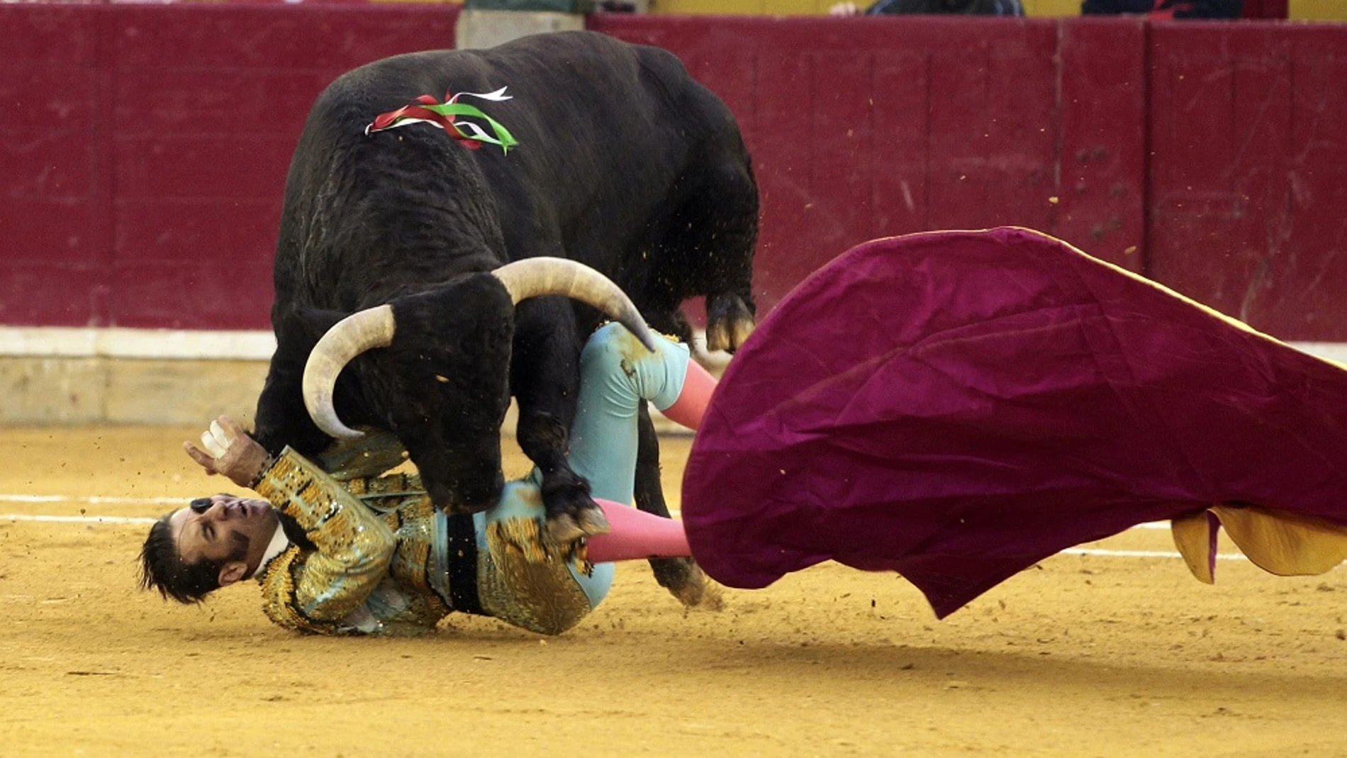Padilla es embestido por el toro en Zaragoza