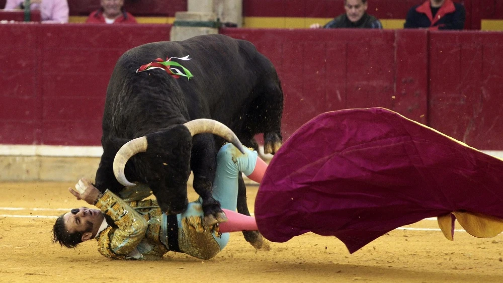 Padilla es embestido por el toro en Zaragoza