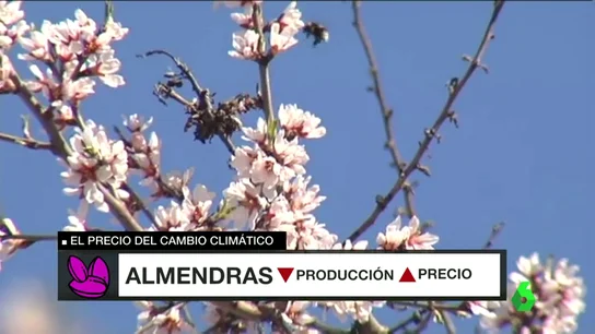 Frame 24.675152 de: cambio climático Frame 24.675152 de: cambio climático